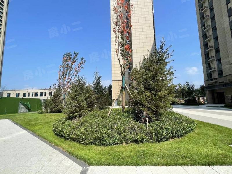 碧桂园星樾时代园区图片