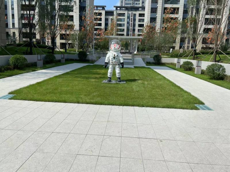 碧桂园星樾时代园区图片