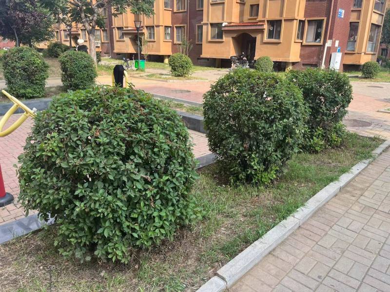 恒润春天里园区图片