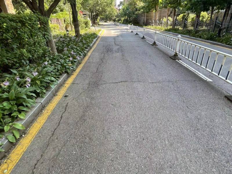 碧桂园公园里别墅园区图片