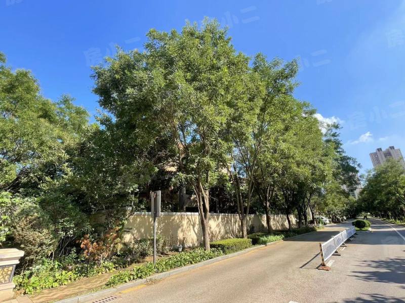 碧桂园公园里别墅园区图片