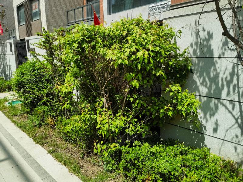一方上河府一期园区图片