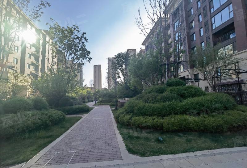 保利白沙林语四期园区图片