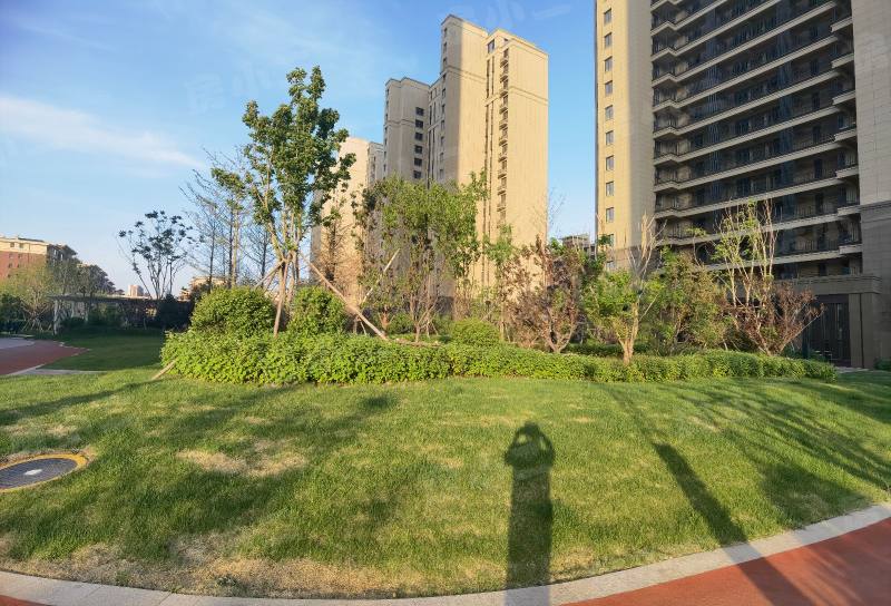 保利白沙林语五期园区图片