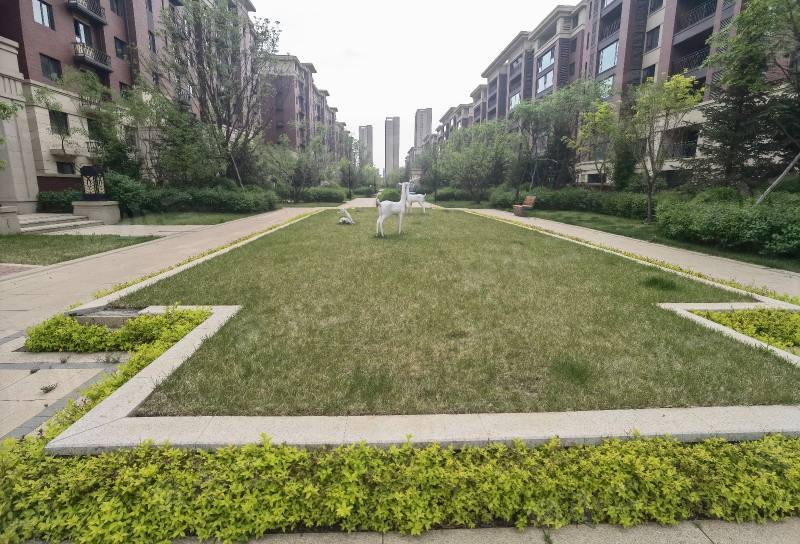 保利白沙林语四期园区图片