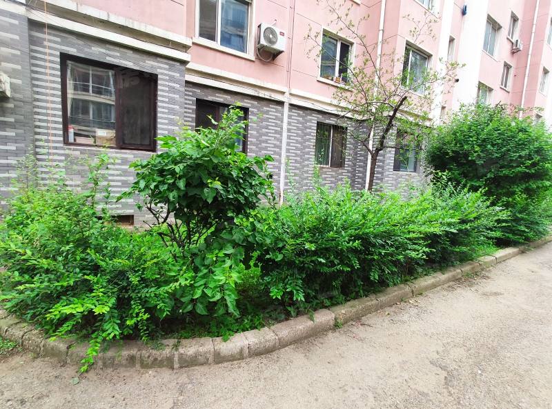 瀚博水岸花城园区图片