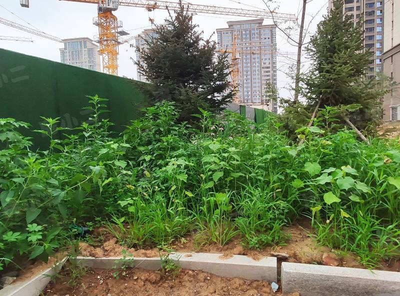 恒大西江天悦园区图片