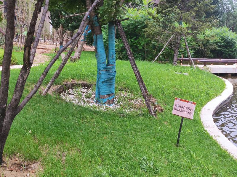 恒大西江天悦园区图片