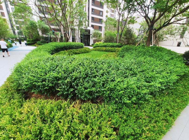 中金公元启城樾府园区图片