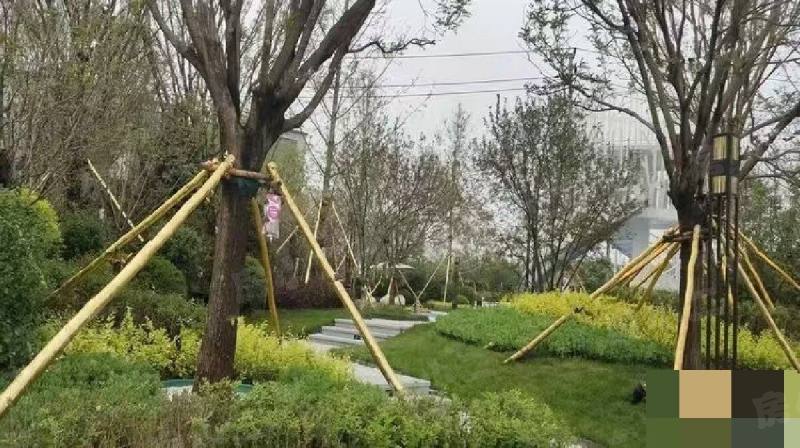中南熙悦（沈抚）园区图片