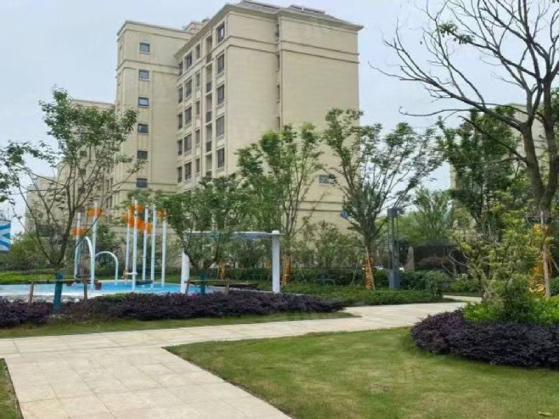 中南熙悦（沈抚）园区图片