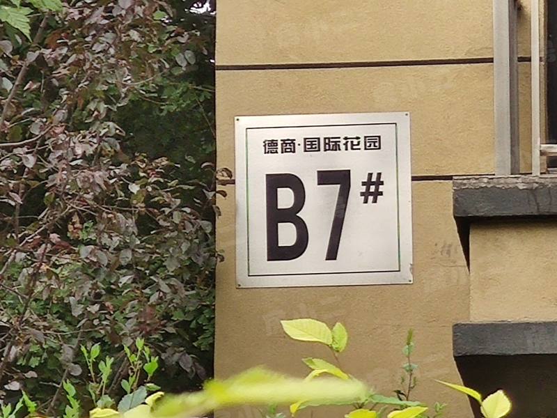 德商国际花园园区图片