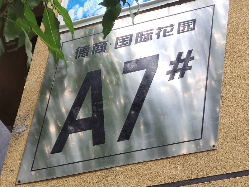 德商国际花园园区图片