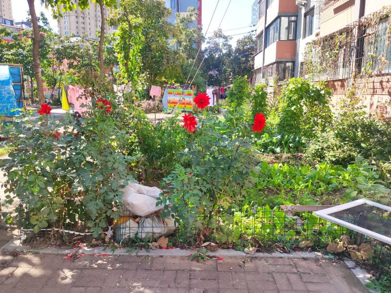 李石三期回迁楼园区图片