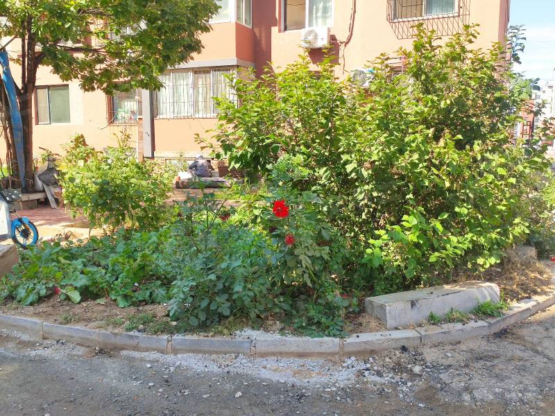 李石三期回迁楼园区图片