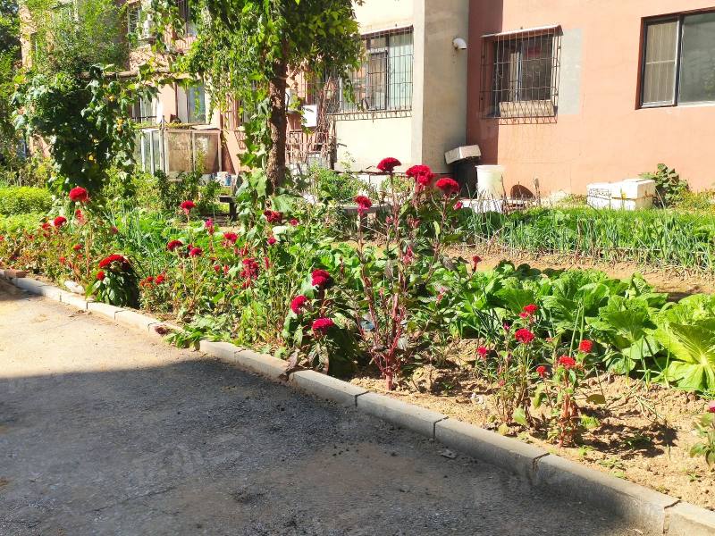 李石三期回迁楼园区图片