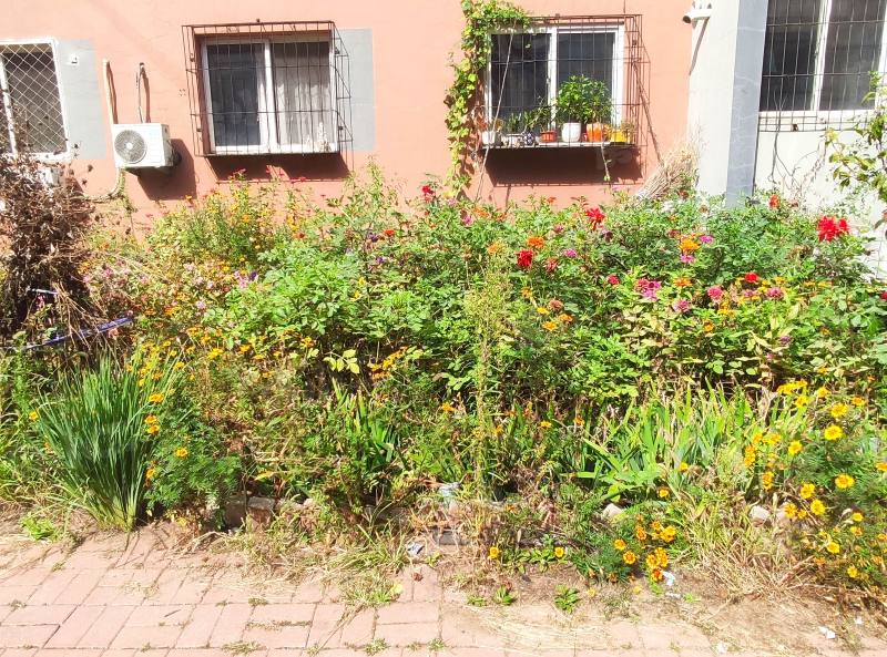 李石四期回迁楼园区图片