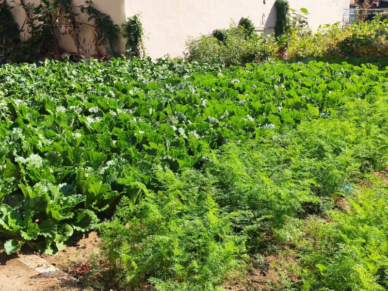 李石四期回迁楼园区图片