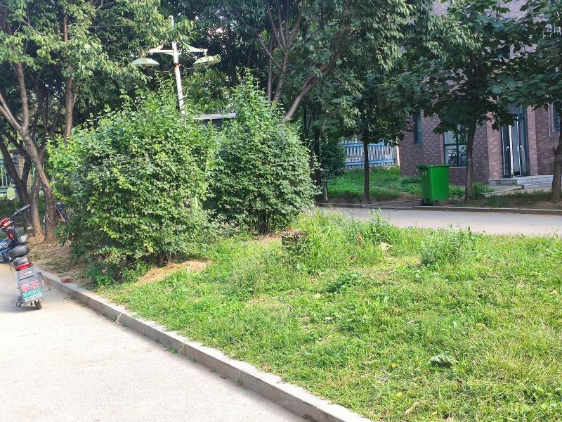 阳光丽景二期园区图片