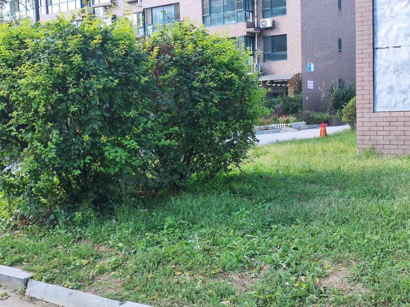 阳光丽景二期园区图片