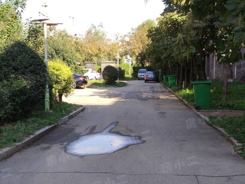 阳光丽景二期园区图片