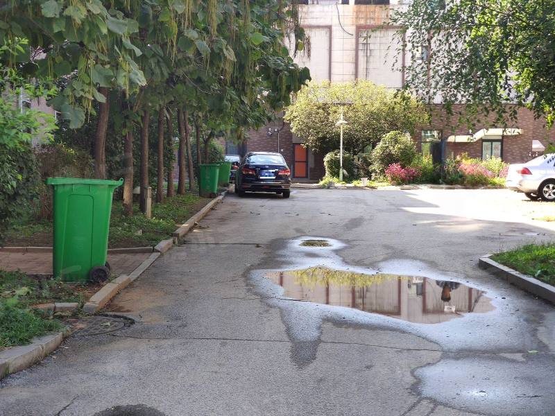 阳光丽景二期园区图片