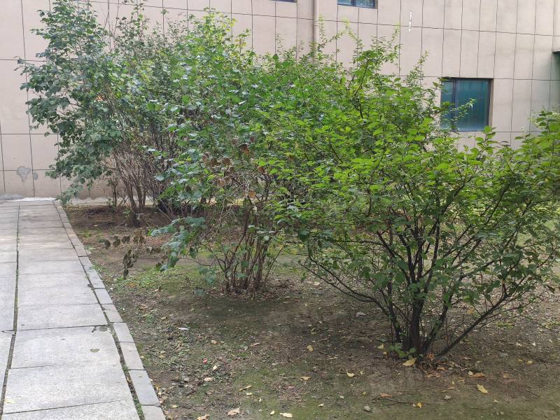 中环天地园区图片