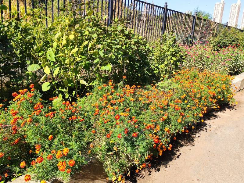 高科公寓园区图片