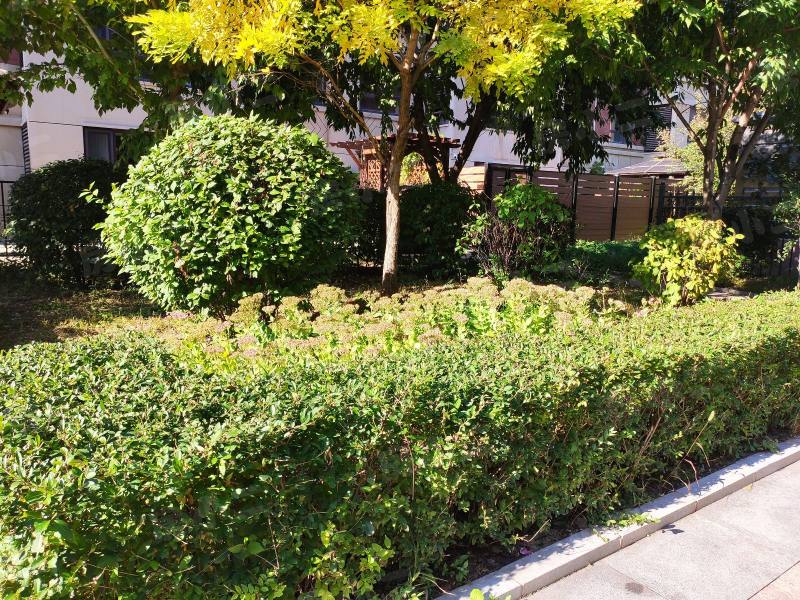 明骏雅居园区图片