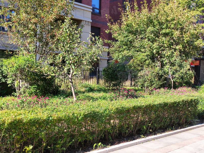 明骏雅居园区图片