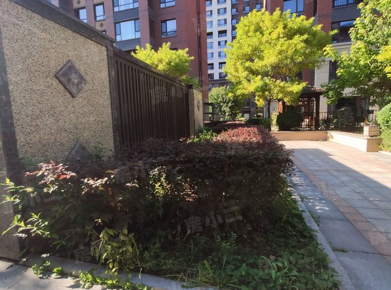 明骏雅居园区图片