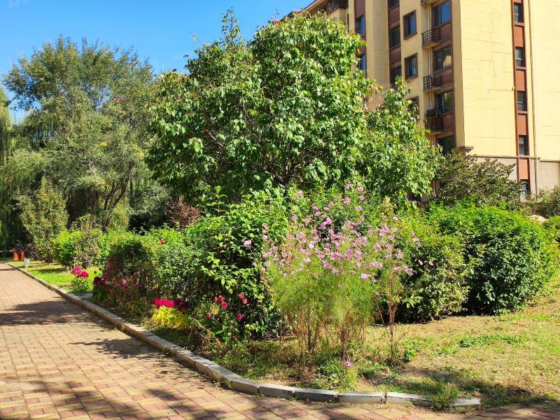 锦绣澜湾C区园区图片