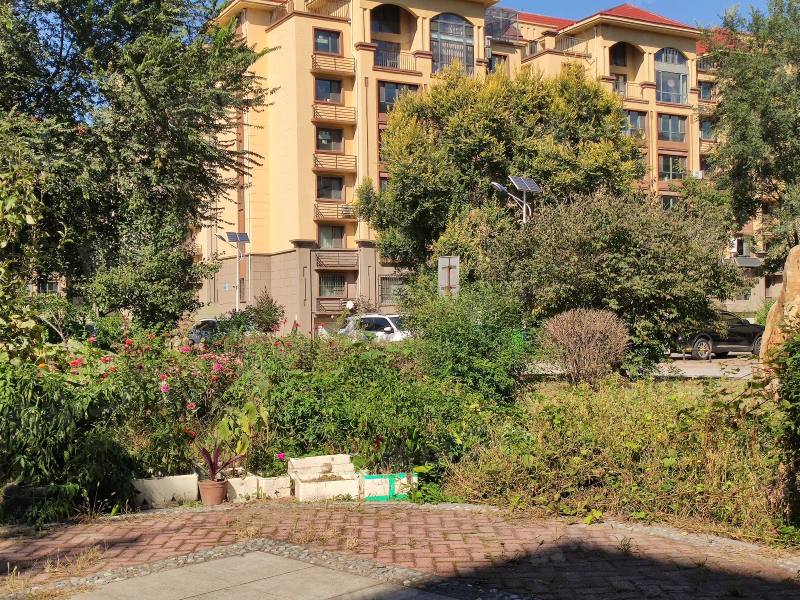 锦绣澜湾C区园区图片