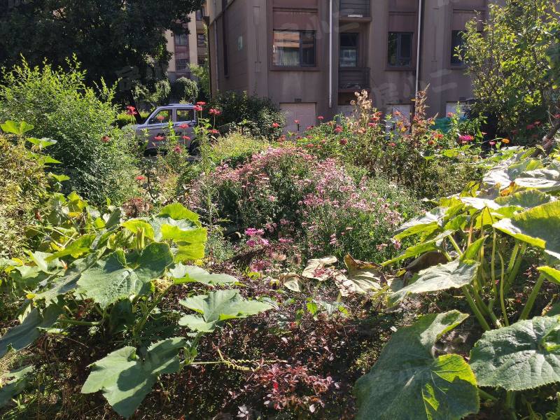 锦绣澜湾C区园区图片