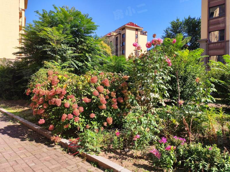 锦绣澜湾C区园区图片