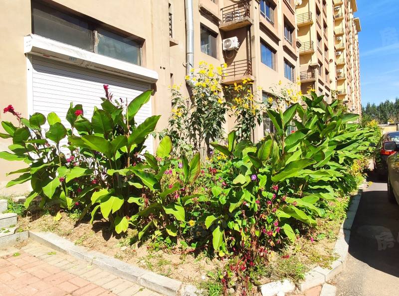 锦绣澜湾D区园区图片