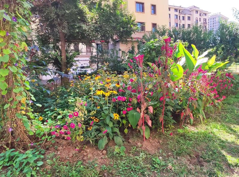 锦绣澜湾D区园区图片