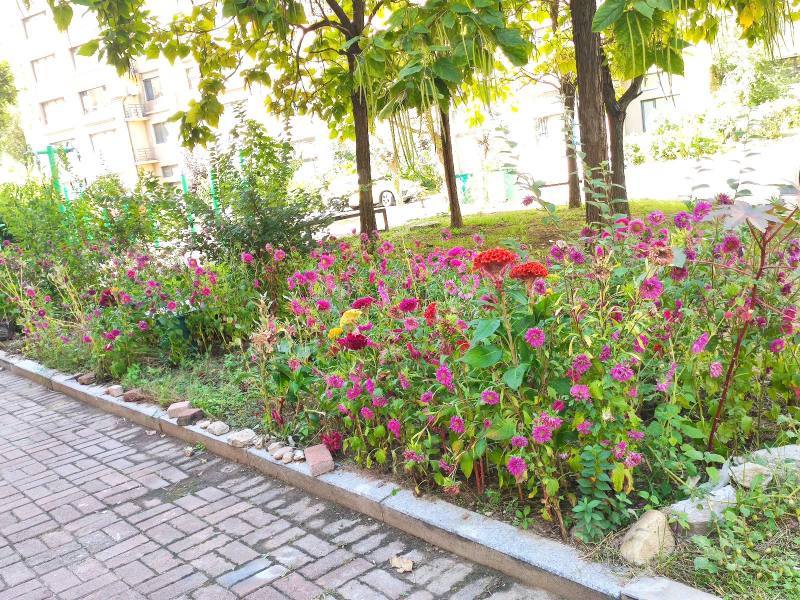 锦绣澜湾D区园区图片