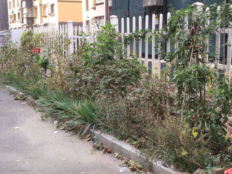 和谐新城四方台家园园区图片