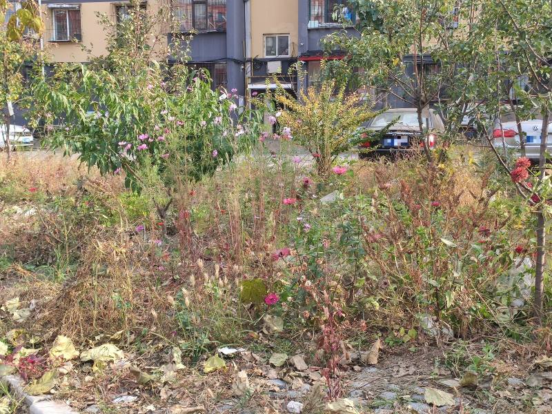 和谐新城四方台家园园区图片