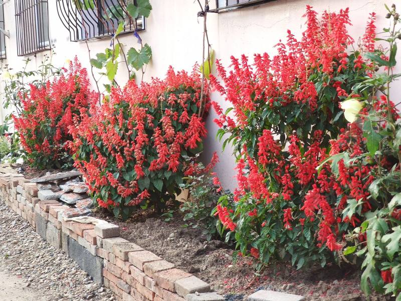 和美家园北区园区图片