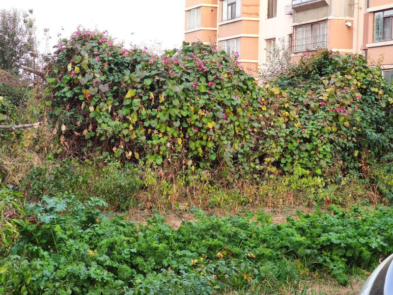 和美家园北区园区图片