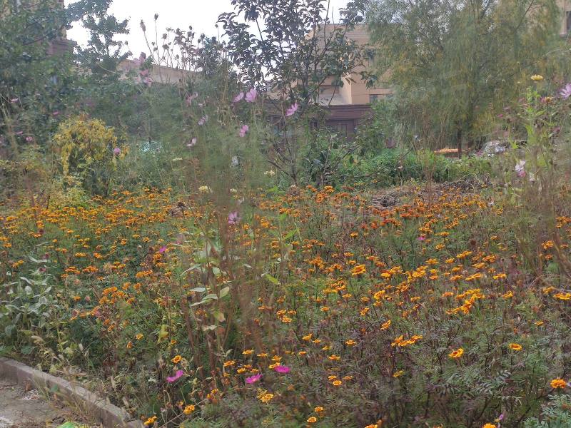 旺力城一期园区图片