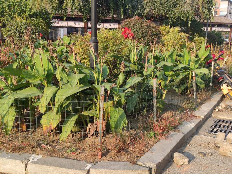 和美家园南区园区图片