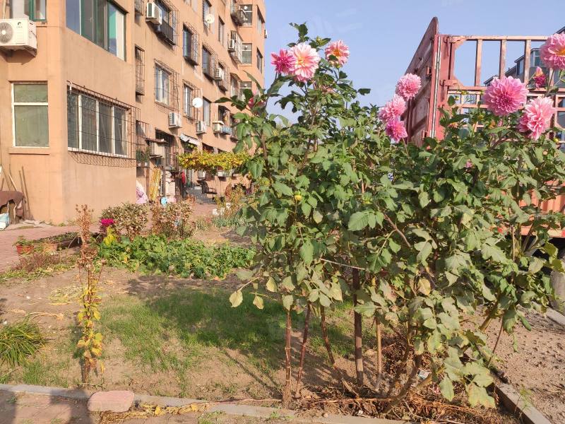 和欣家园北区园区图片