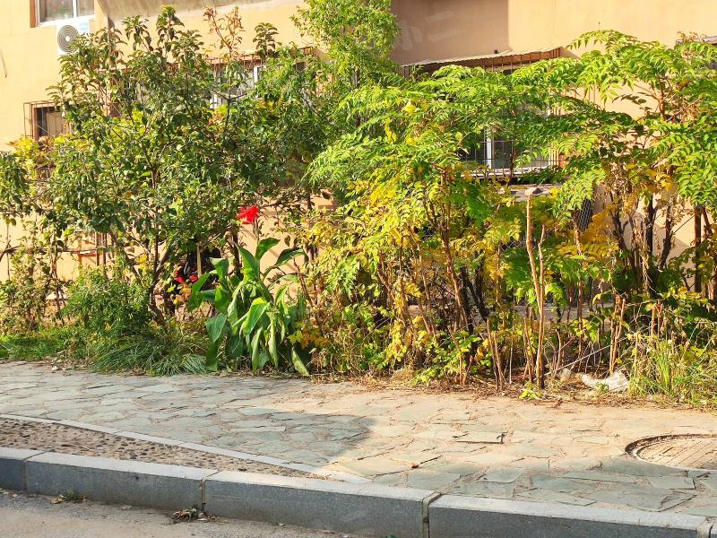 和欣家园北区园区图片