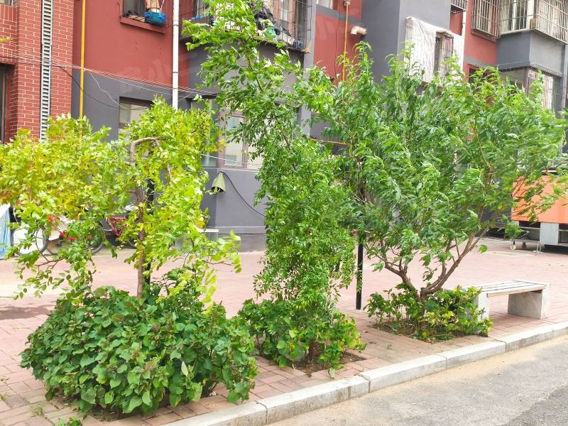 和谐新城四方家园园区图片