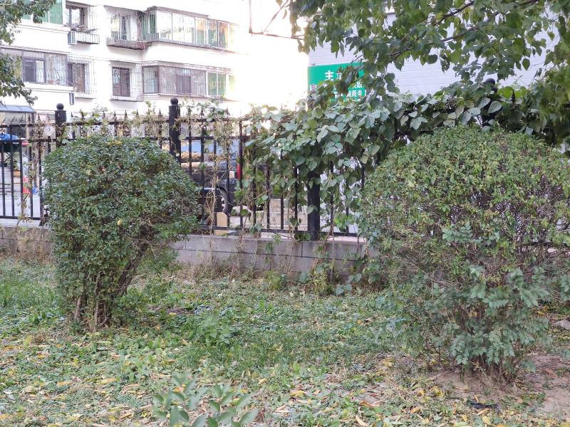 沈抚ABCD小区园区图片