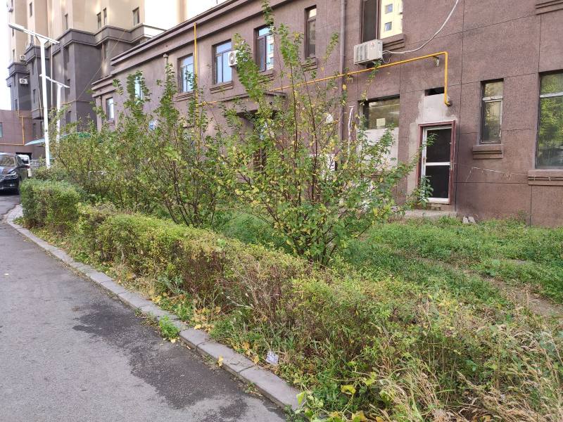 悦府鑫城园区图片