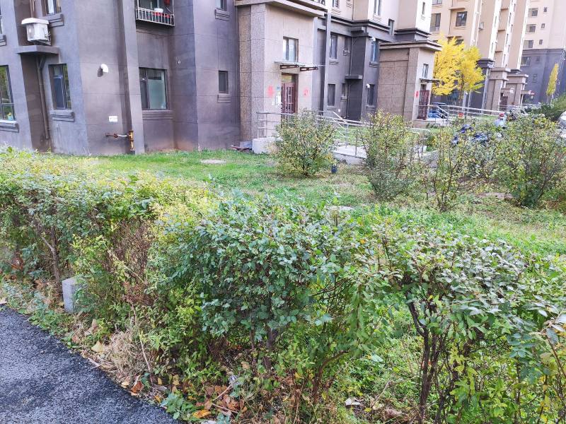 悦府鑫城园区图片